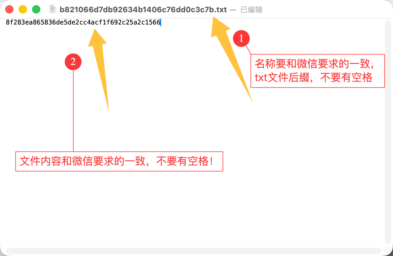 域名解决.png